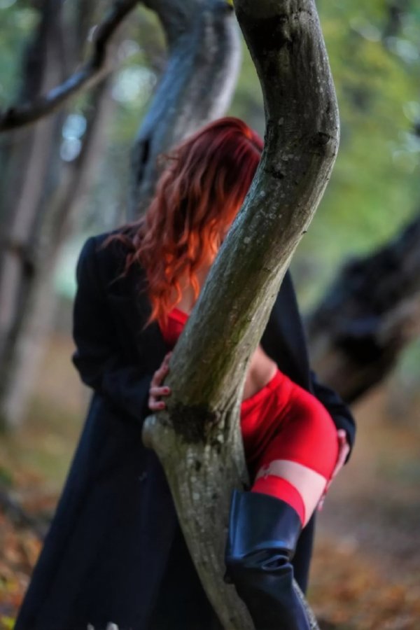 4ed7a35f-d7fd-43ec-a017-a16107111a6f.jpg